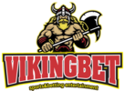 บาคาร่าออนไลน์ vikingbet สนุกสุดมันส์ เงินเข้าบัญชี